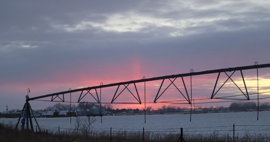 Ag land management webinar to offer updates on cash rents, leasing for 2026