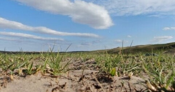 Rangeland in Lincoln County, Nebraska two months after the February 27, 2024 Betty's Way wildfire.