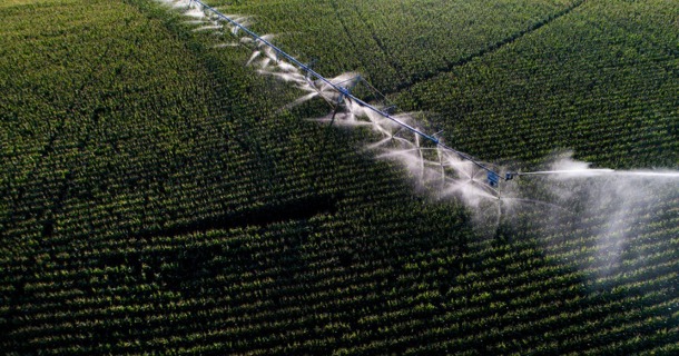 Lower crop prices and tighter margins contributed to declines in Nebraska cropland values, while strong cattle markets supported higher pasture values, according to the 2026 Nebraska Farm Real Estate Market Survey. (Craig Chandler/University Communication and Marketing)