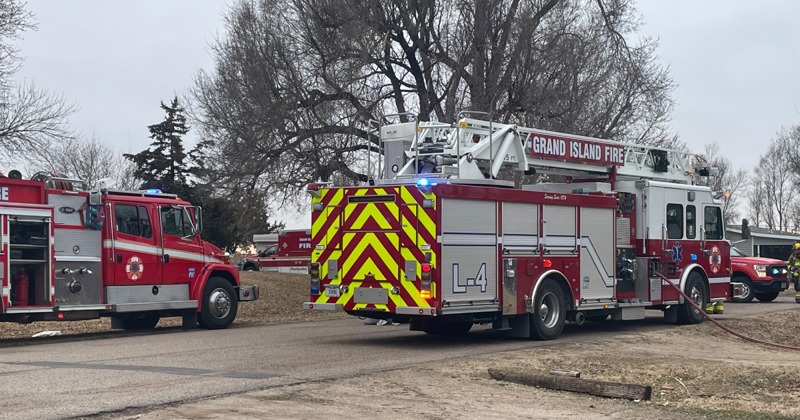 Puppies saved from Grand Island house fire